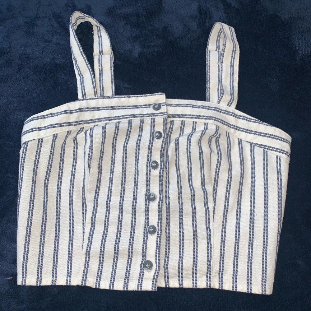 Ivy+main small crop top